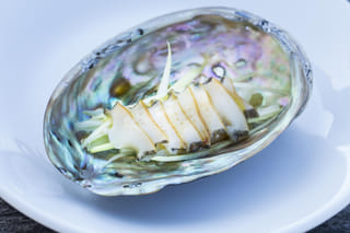 Abalone Farm Tour, Tasting and Coastal Seaweed Walk. Galway. Guided.