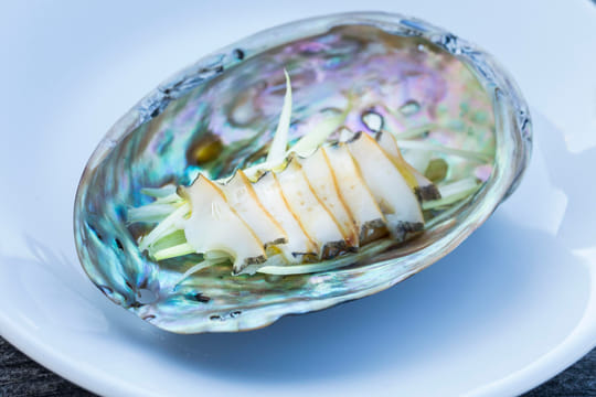 Abalone Farm Tour, Tasting and Coastal Seaweed Walk. Galway. Guided.