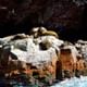 Ballestas Islands