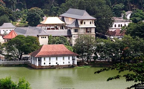 Cultural City Tour of Kandy, Sri Lanka - 4 Days