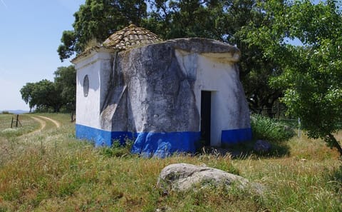 Private Tour of Prehistoric Monuments in Évora Region