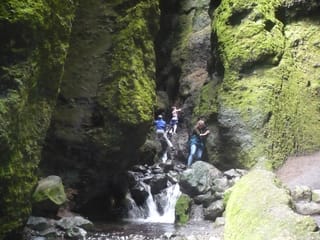 Private Day Tour from Höfn - The Eastfjords, photo 7