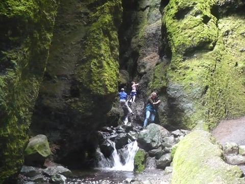 Private Day Tour from Höfn - The Eastfjords, photo 7