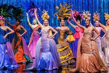 Calypso Cabaret: Dazzling Lights & Performances