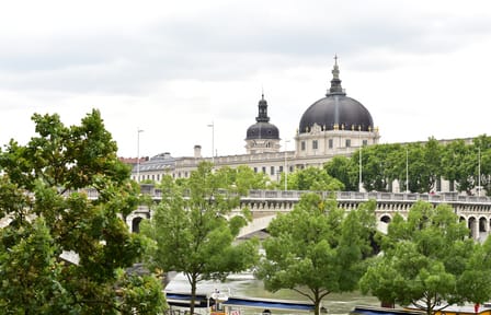 Day Trip to Lyon from Paris with Guided City Tour