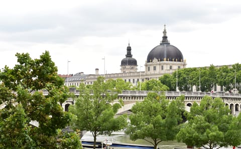 Day Trip to Lyon from Paris with Guided City Tour