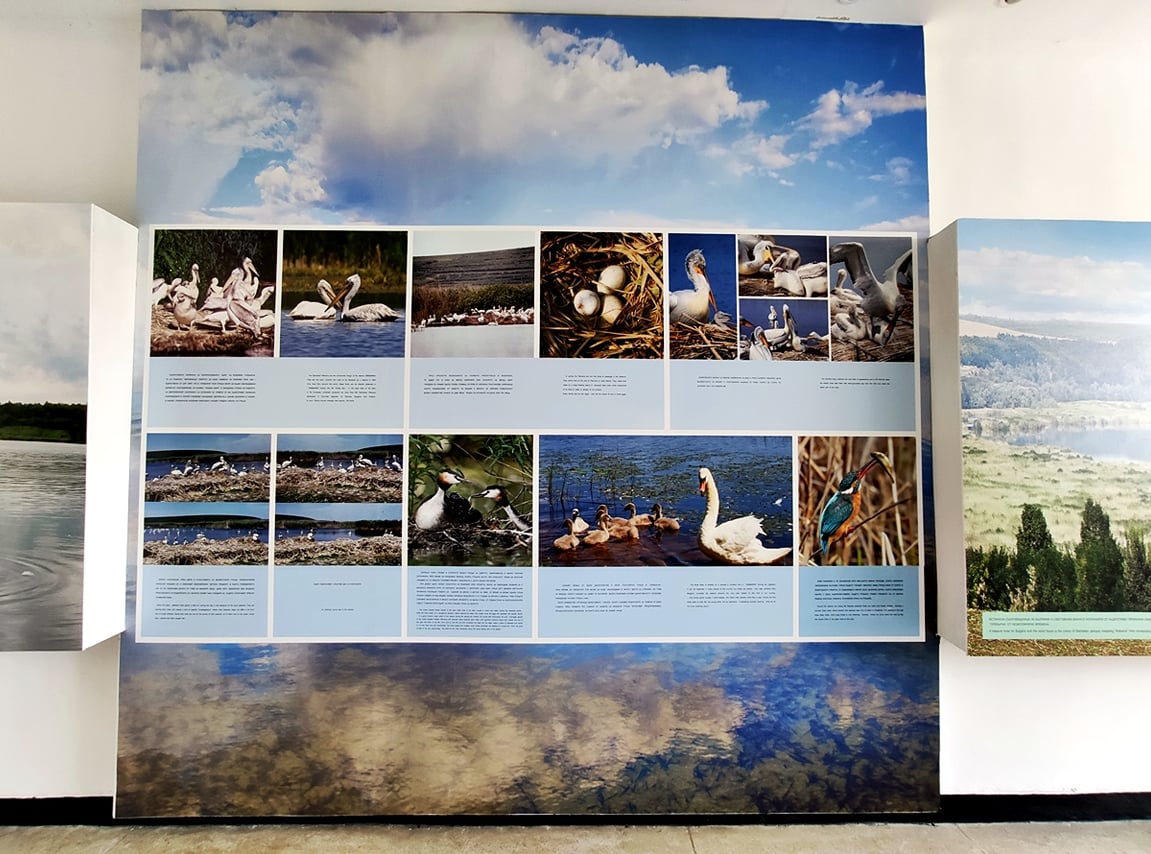 Self-Guided Birdwatching in Srebarna Reserve 8