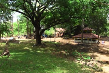 Cultural and Nature Tour of Jaffna, Sri Lanka – 4 Days