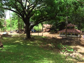 Cultural and Nature Tour of Jaffna, Sri Lanka – 4 Days