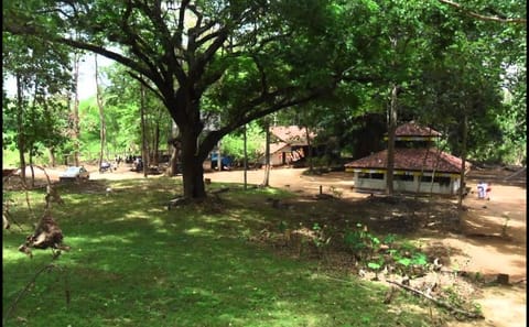 Cultural and Nature Tour of Jaffna, Sri Lanka – 4 Days