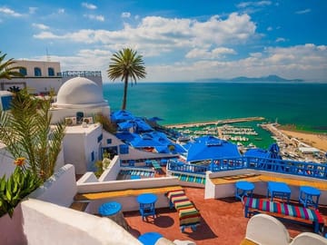 Private Tour of Bardo Museum, Carthage, and Sidi Bou Said