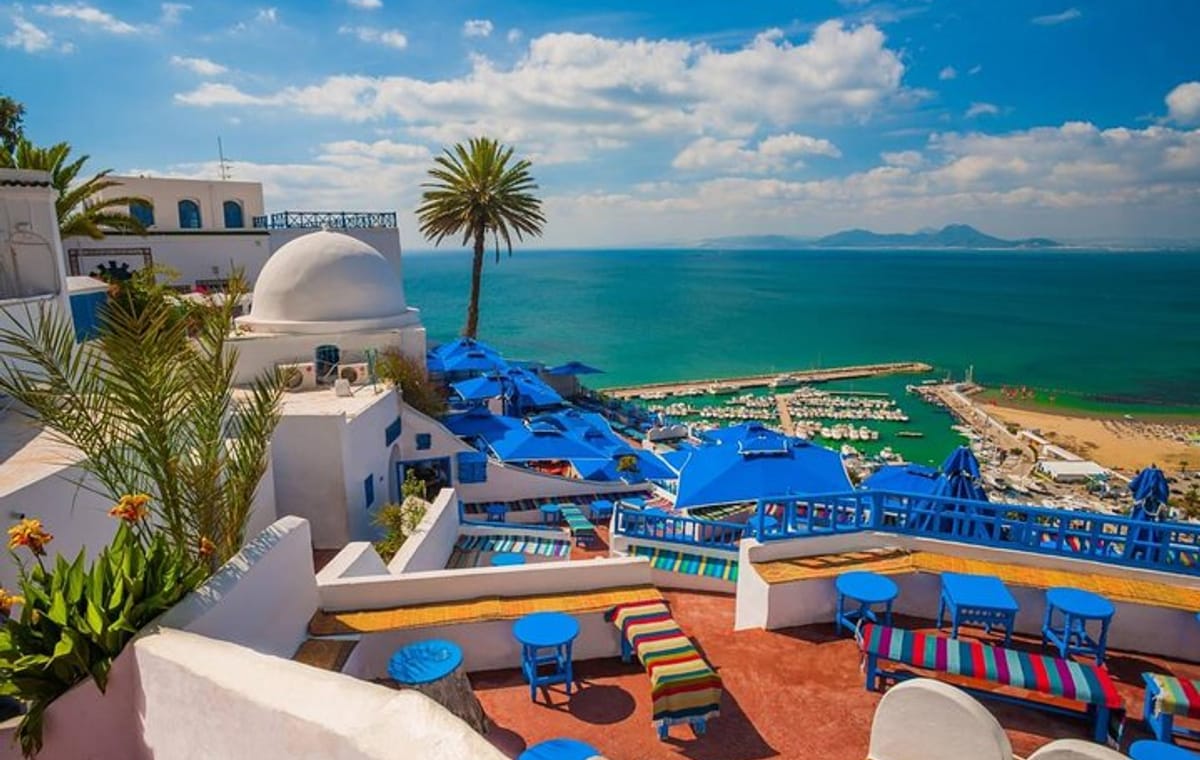 From Tunis: Private Tour Bardo Museum- The ruins of Carthage- Village of Sidi Bou Said