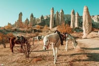2 Day Cappadocia Tour from Istanbul with Flights and Cave Hotel 8