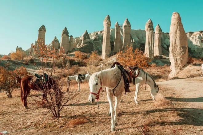 2 Day Cappadocia Tour from Istanbul with Flights and Cave Hotel 8