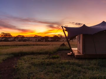 Luxury Tent Experience in Anantya Serengeti, Tanzania