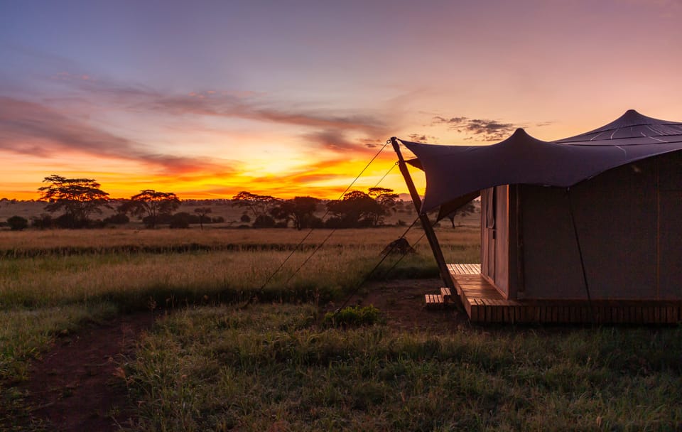 Luxury Tent Experience in Anantya Serengeti, Tanzania