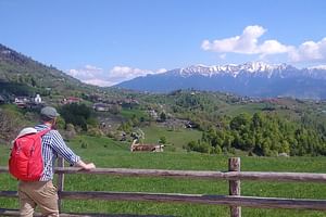 4-Day Carpathian Trek: Bucegi Mountains and Piatra Craiului National Park