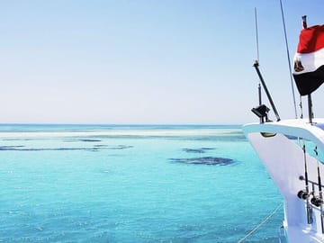 Snorkeling with Dolphins at Sataya in Marsa Alam, Egypt