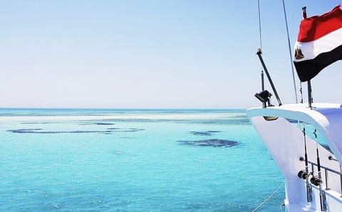 Snorkeling with Dolphins at Sataya in Marsa Alam, Egypt