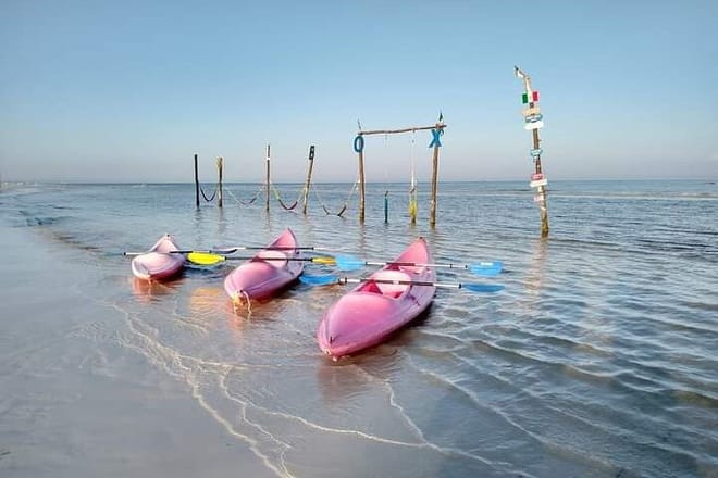 Kayak Experience in the Mangroves of Holbox Island photo 6