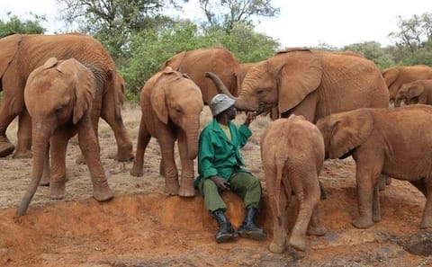 6-Day Kenya Tour: Masai Mara, Hell's Gate & Naivasha