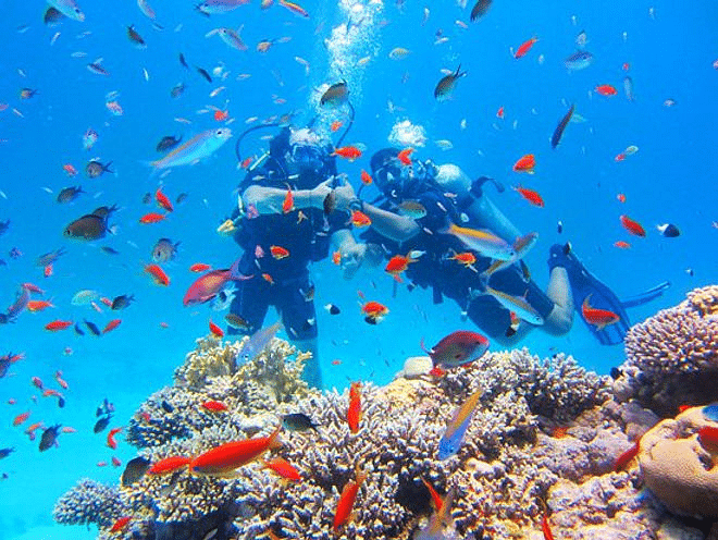 Discover Hurghada Scuba Diving