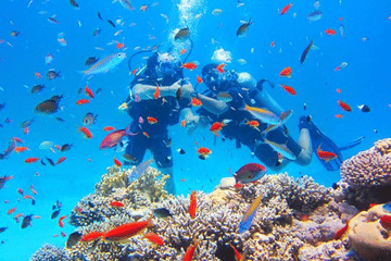 Scuba Diving Experience in Hurghada City Center, Egypt