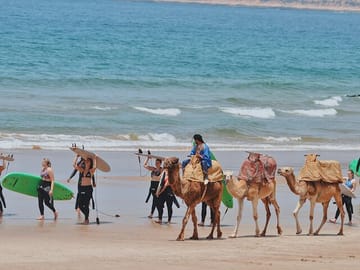 Private Day Trip from Marrakech to Essaouira Port