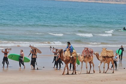 Full Day Private Tour from Marrakesh to Essaouira with Pickup