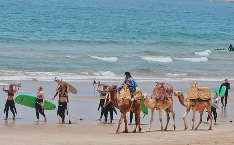 Private Day Trip from Marrakech to Essaouira Port