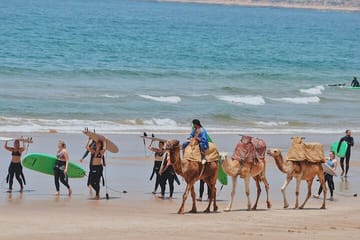 Private Day Trip from Marrakech to Essaouira Port