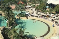 Experience the thrill of Aquaventure slides and the wonder of Lost Chambers Aquarium in Dubai."