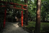Kyoto Top Highlights 1 Day Bus Tour with Geisha Show Included 7