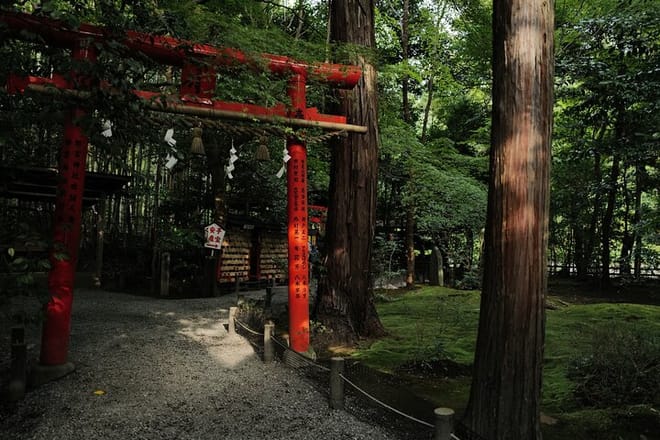 Kyoto Top Highlights 1 Day Bus Tour with Geisha Show Included 7