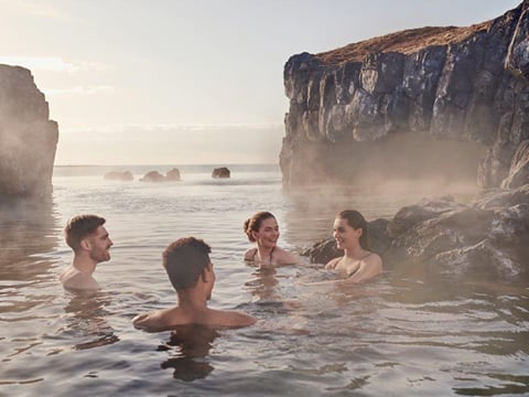 Golden Circle, Friðheimar & Sky Lagoon - with photos, photo 12