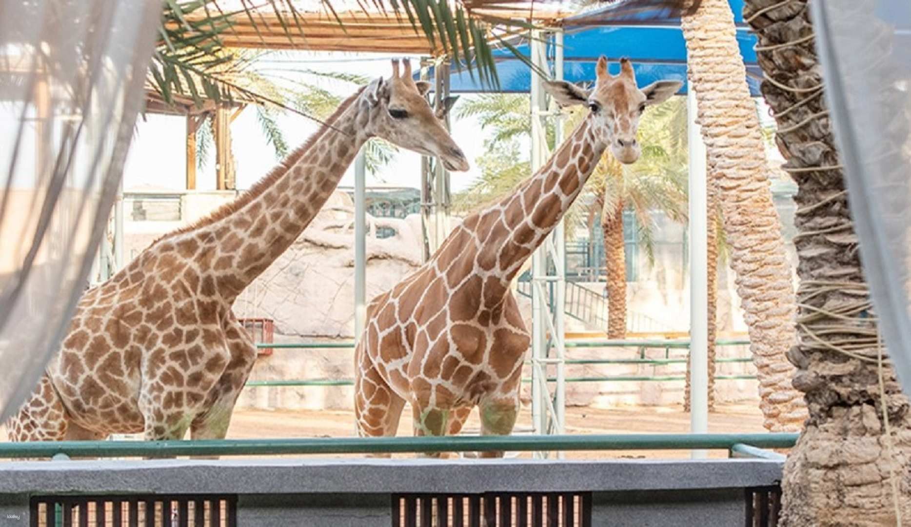 Emirates Park Zoo Abu Dhabi Tickets