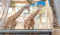 Emirates Park Zoo Abu Dhabi Tickets