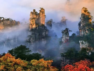 Forest Park (Avatar Mountain) 1-day tour with VIP Access