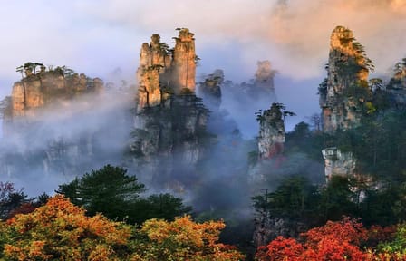 VIP Forest Park tour of Avatar Mountain in Zhangjiajie