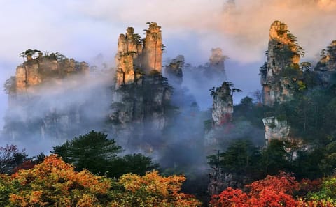 VIP Forest Park tour of Avatar Mountain in Zhangjiajie
