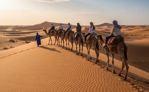 3-Day Sahara Tour from Marrakech: Merzouga Camel & Desert Camp