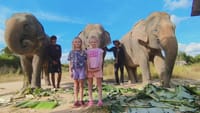 Cambodia Elephants and Phnom Kulen National Park Day Tour 7