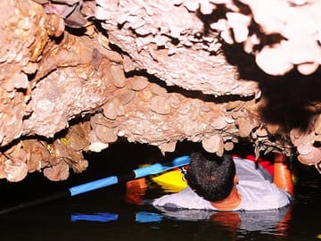 Johngray Sea Canoe Nightlight Tour