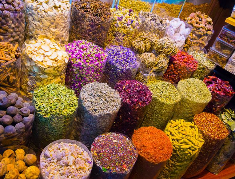 Dubai: City Tour and Desert Safari where the City Charm and Desert Thrill Combined In One Tour