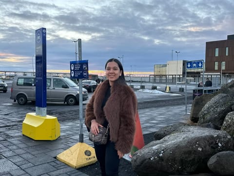 Private Airport Transfer: KEF → Blue Lagoon, photo 5