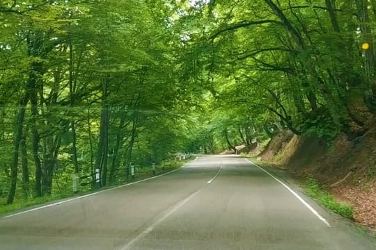 Sighnaghi, Gareji & Bodbe: Day Tour from Tbilisi