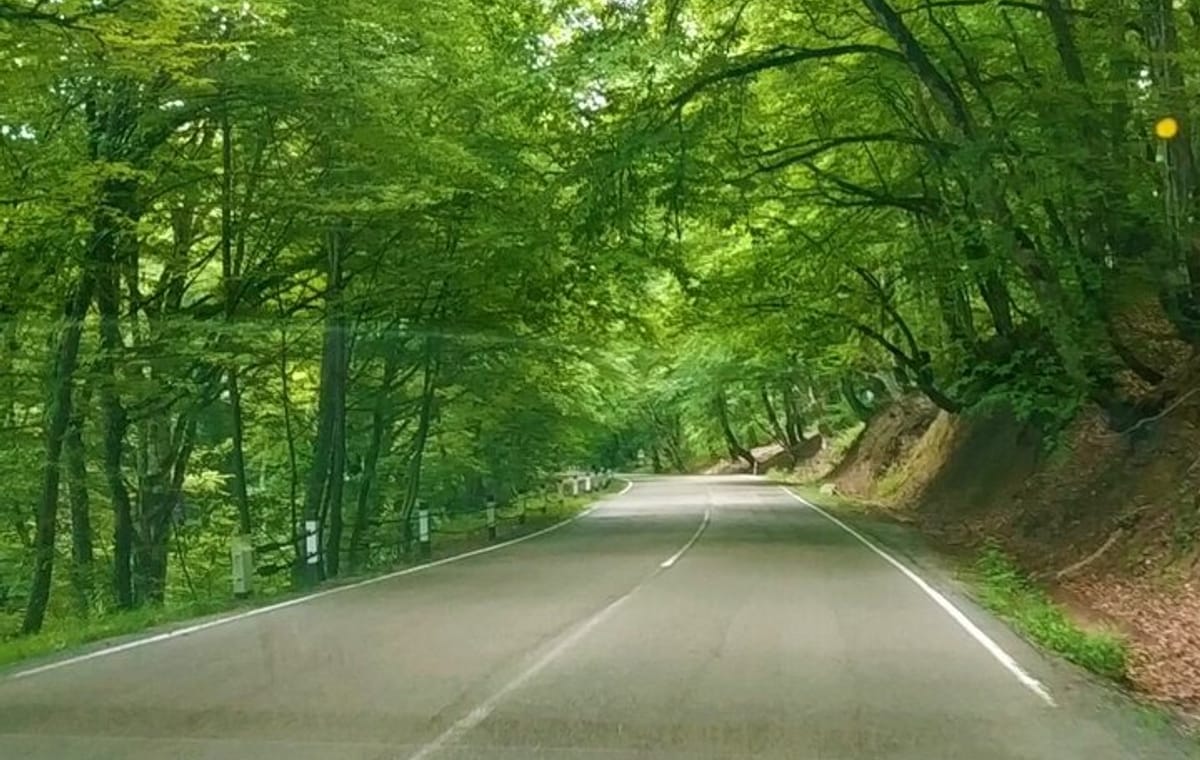 Sighnaghi, Gareji & Bodbe: Day Tour from Tbilisi