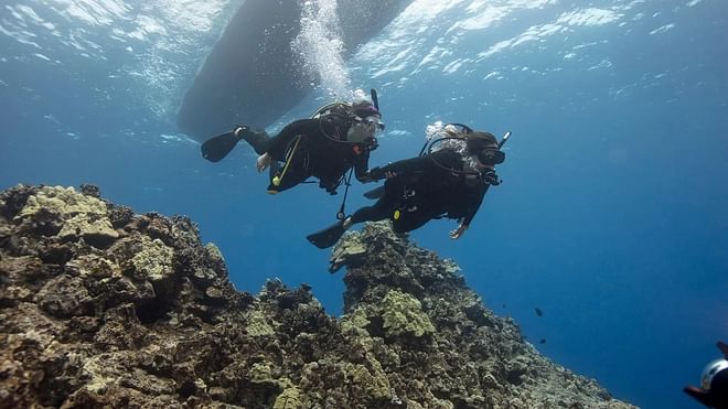 Discover Scuba Diving from a Boat in the Benidorm Island