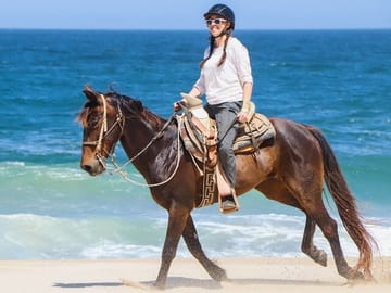 Horseback Riding on Sharm El Sheikh Beaches with Transfers