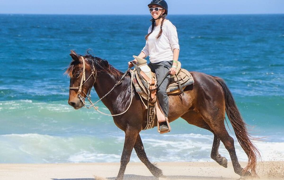 Horse Riding on the beach With Transfer From Sharm El Sheikh